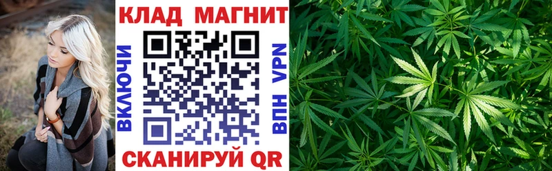 Купить наркотик аптеки Камышлов Гашиш  ссылка на мегу вход  Меф мяу мяу  Конопля  Альфа ПВП 