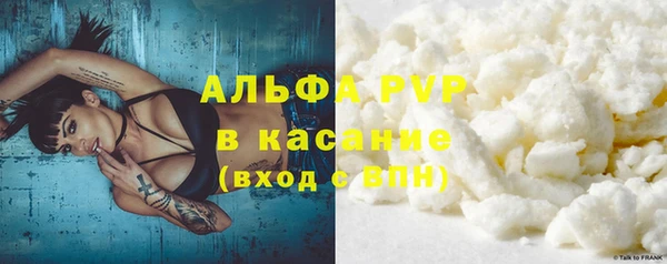 сатива Тобольск