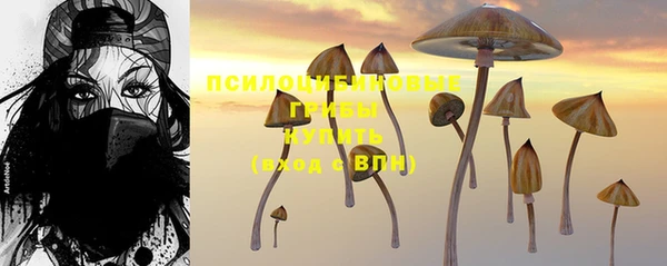 амф Верхнеуральск