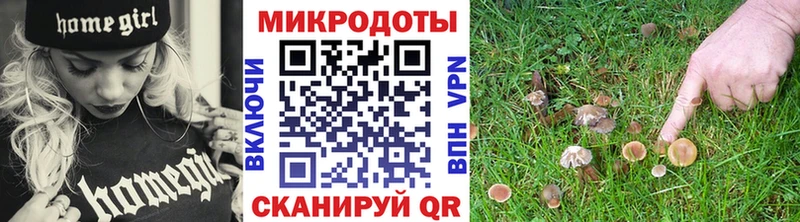 Галлюциногенные грибы Psilocybine cubensis  Камышлов 